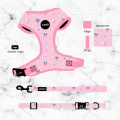 Dog Leash and Collar Set Safe Comfy Bright